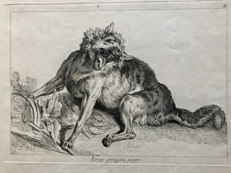 12 gravyrer föreställande jaktdjur från Carl Gustaf Tessins kabinet