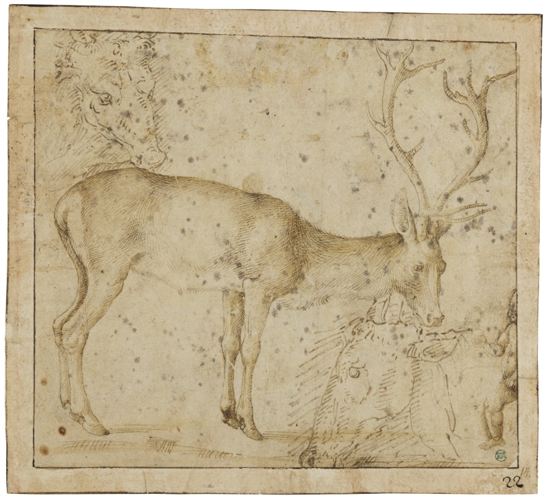 Stående hjort, fragment av en putto och två hjorthuvuden