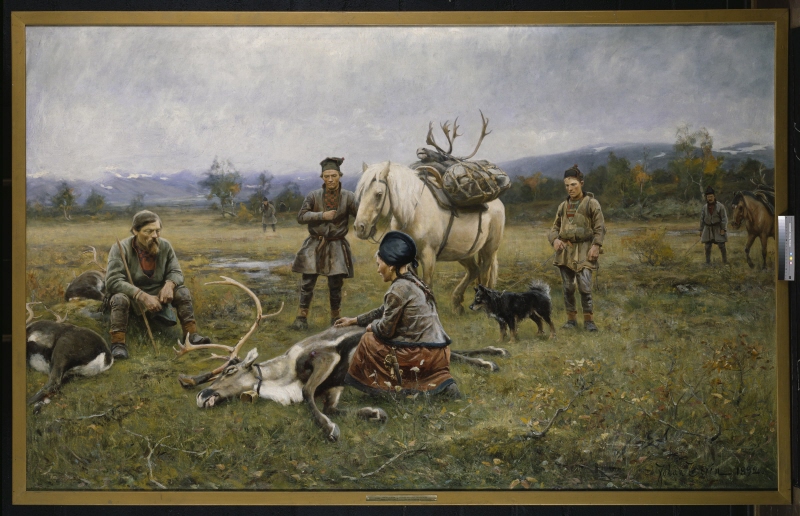 Sami Collecting Reindeer which have Been Shot