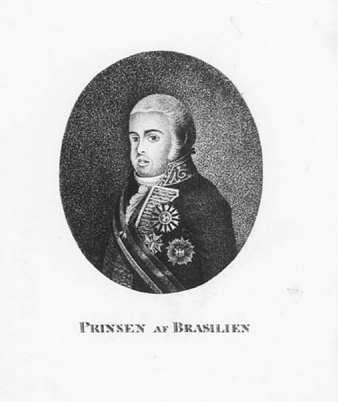 Johan Josef Ludvig, prins av Brsilien