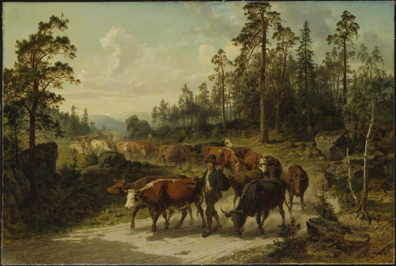 Driving Cattle in Småland