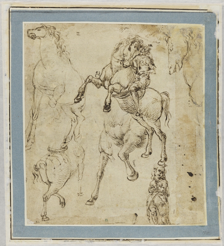 Young man on a rearing horse and further horse studies