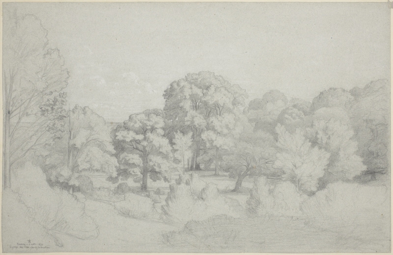View of La Gorge aux loups, Forest of Fontainebleau