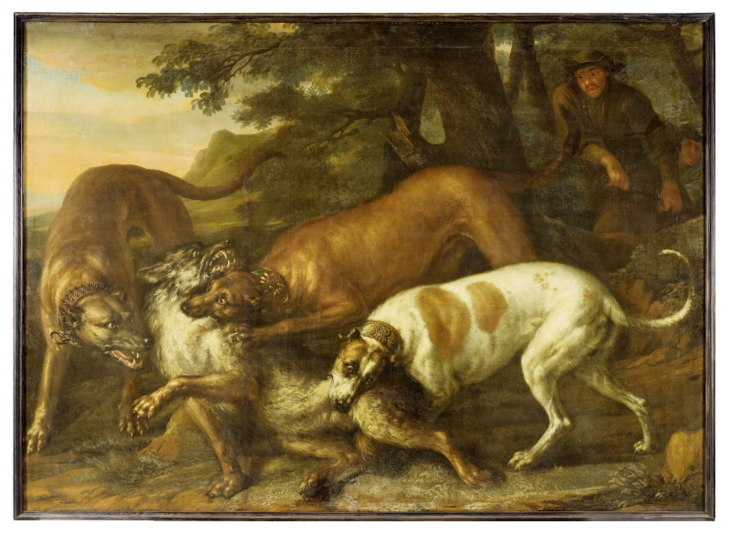 Hounds Belonging to King Karl XI Attacking a Wolf