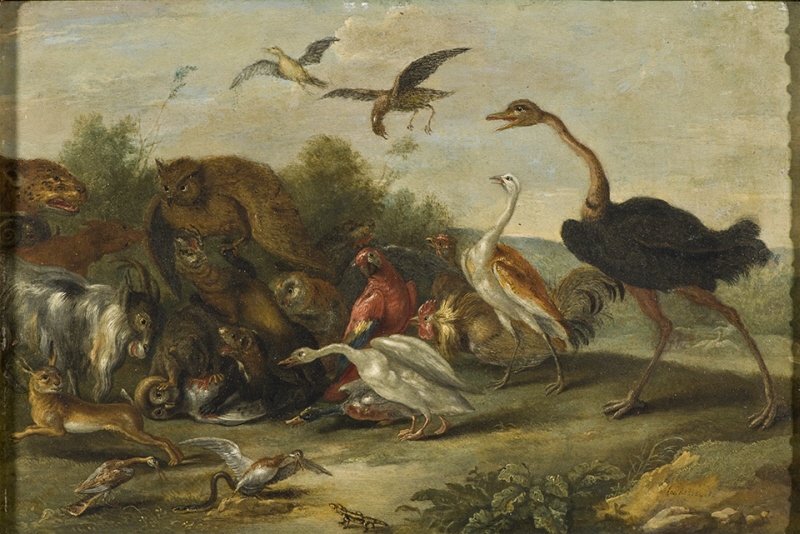Battle between Birds and Quadrupeds