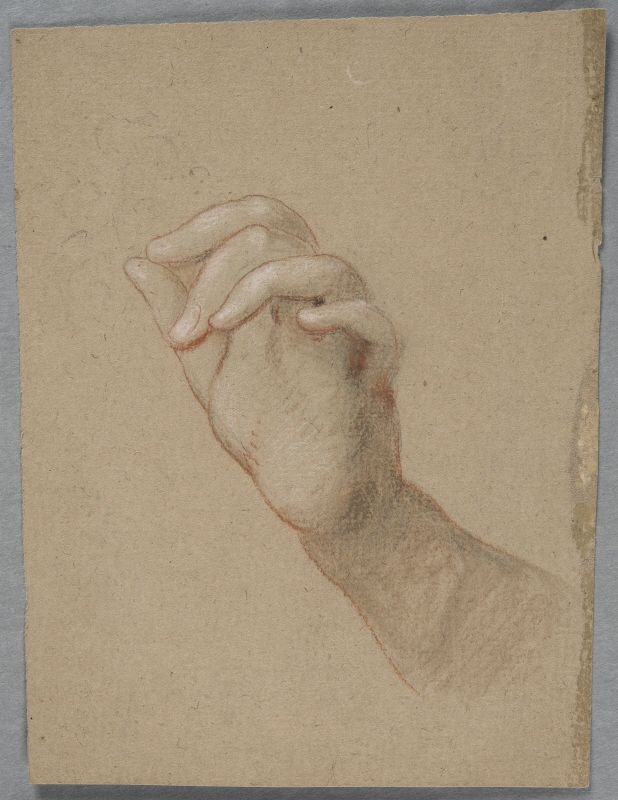 Studie av vänsterhand med halvknäppta fingrar