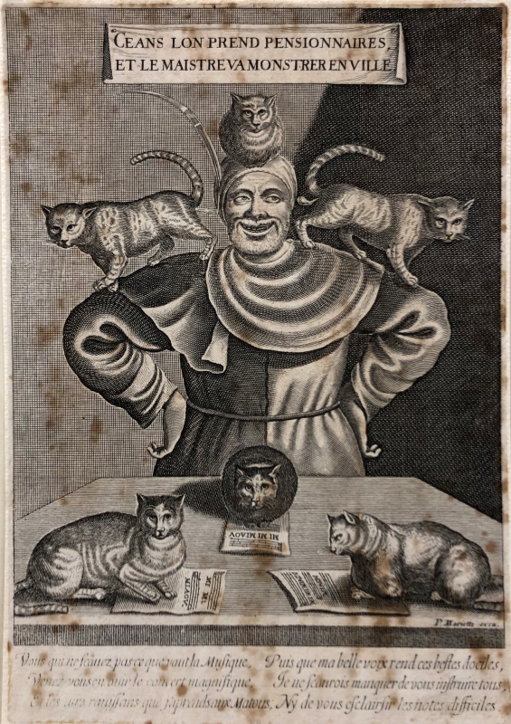 Mannen med katterna