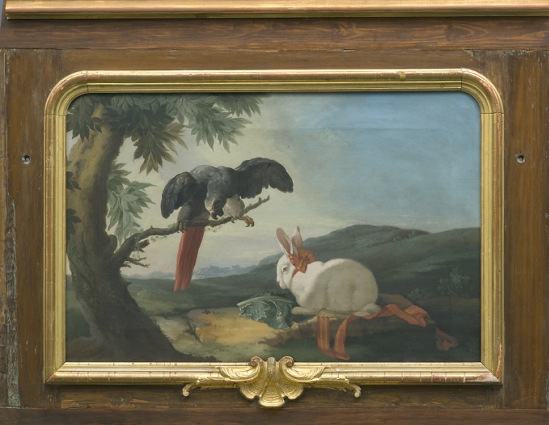 Papegoja och kanin. Dekorationsmålning från Mälsåker slott