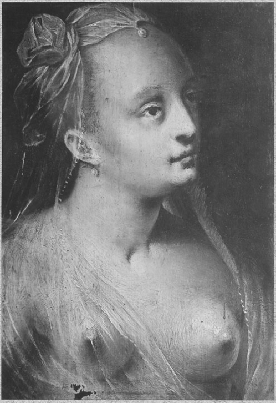 Unknown woman, formerly known as Lucrezia Borgia