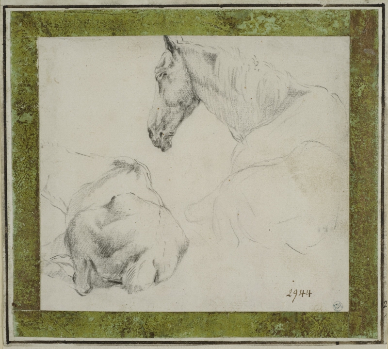 Studies of a Horse Lying Down