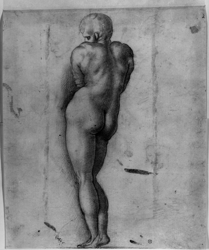 Standing Nude Man Seen from Behind