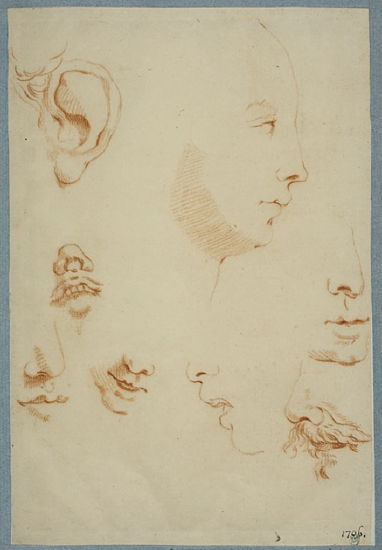 Profile of a Face, and Studies of Noses, Ears and Mouths