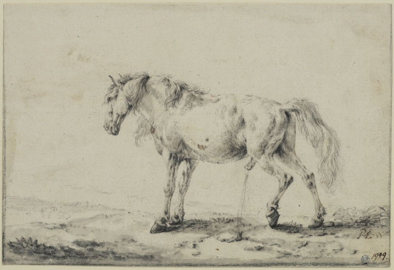 A Urinating Horse in a Landscape