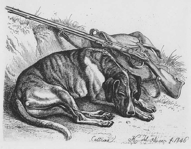 "Cattiva", hund sovande vid ränsel och gevär