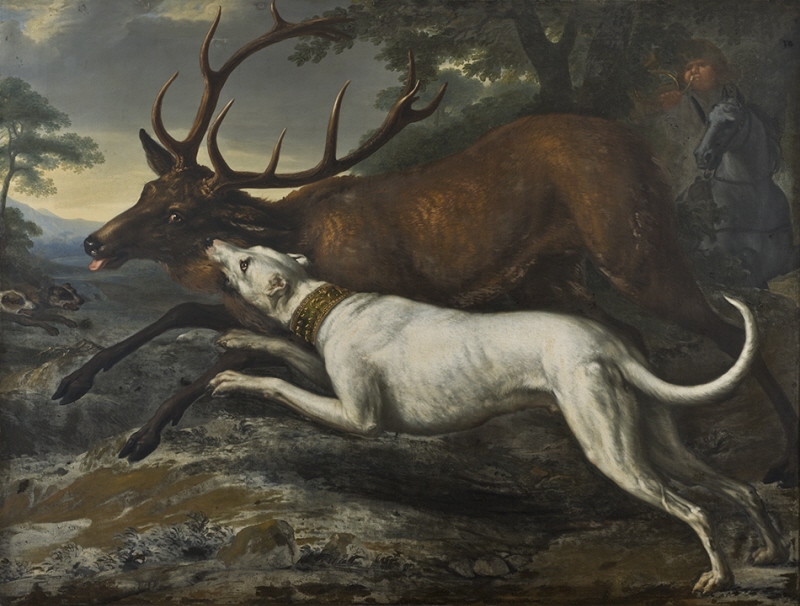 Hound Belonging to King Karl XI Attacking a Stag