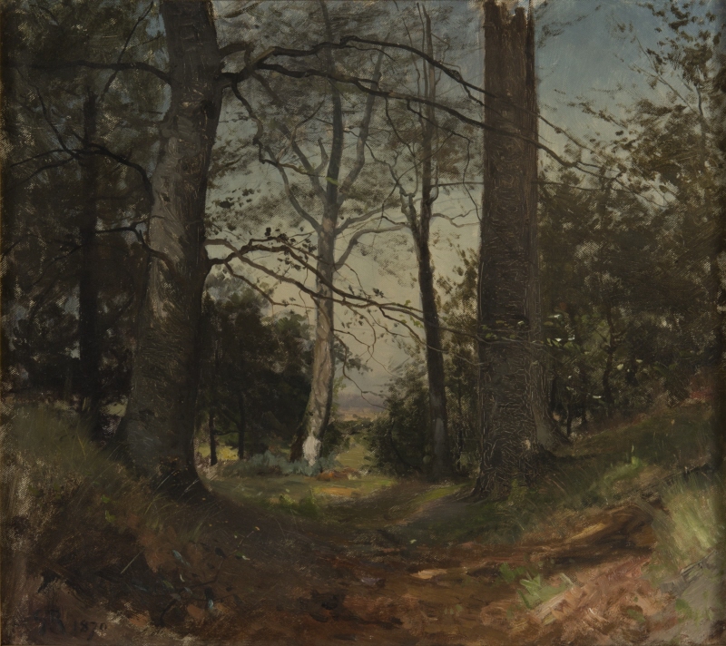 In the Forest. Motif from Stehag, Skåne. Study