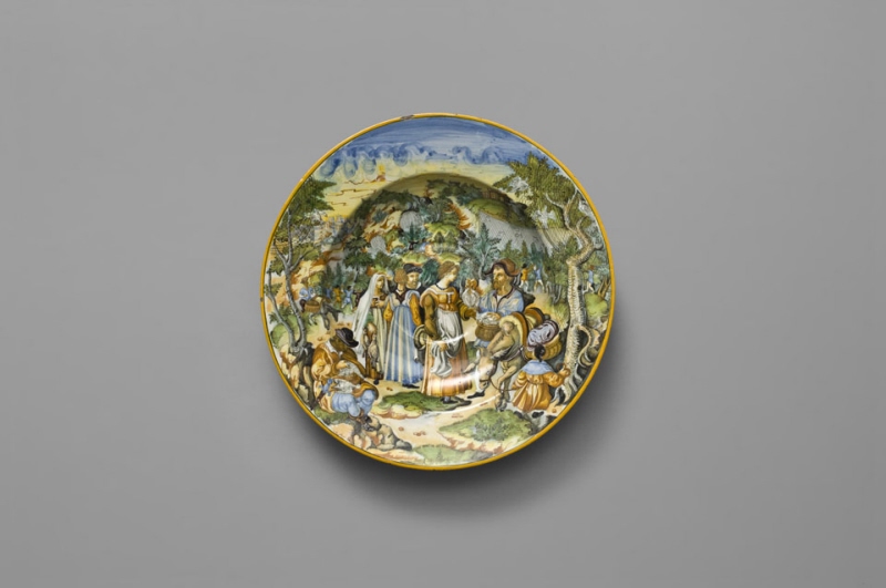 Plate with bird fowlers