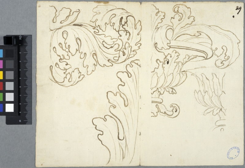 Sheet with decorative details for a coach, pattern with acanthus
