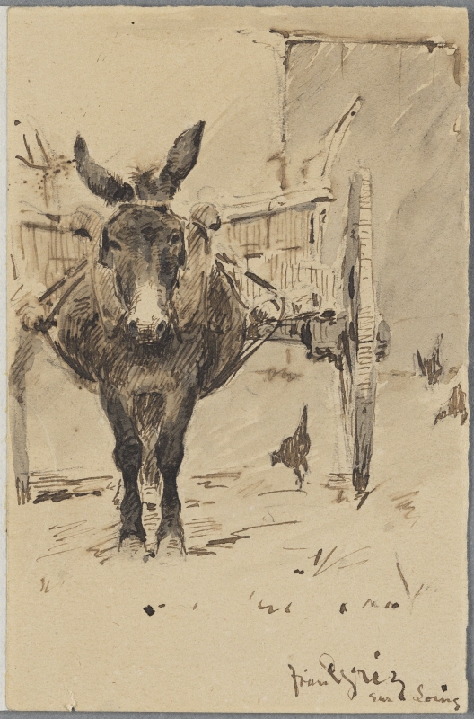 Donkey in Gréz-sur-Loing