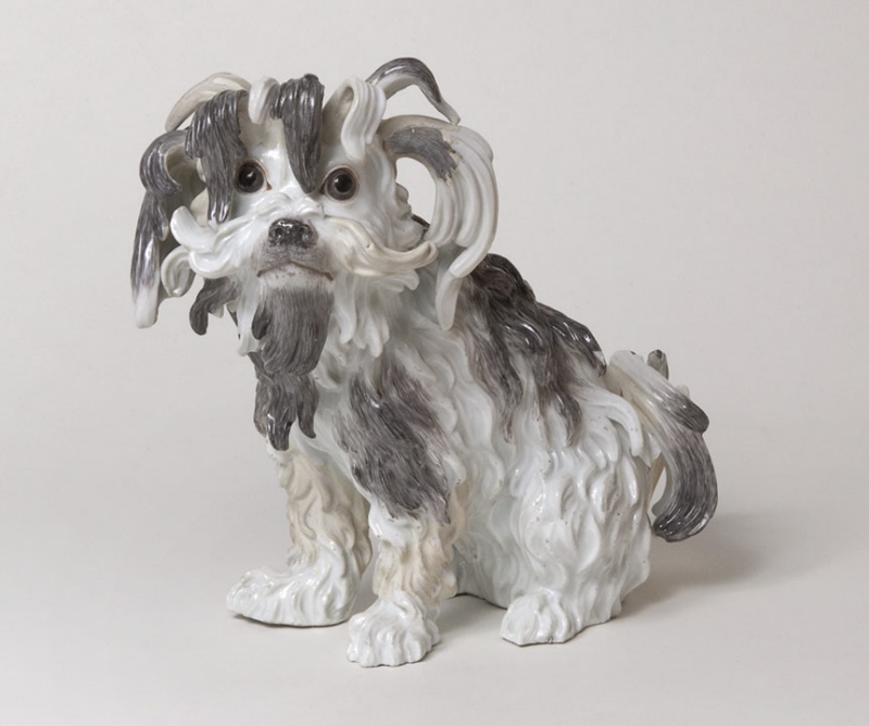 Figurin, Bolognese hund