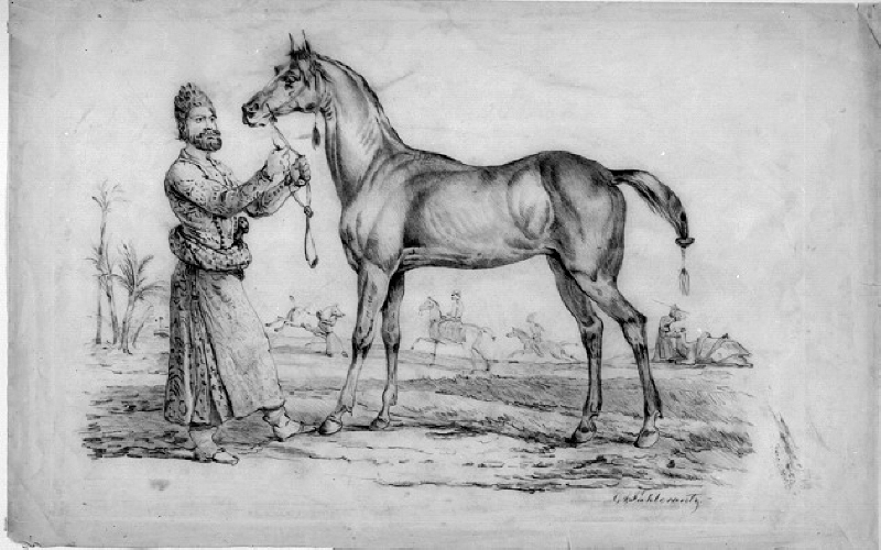 Arab med en osadlad häst
