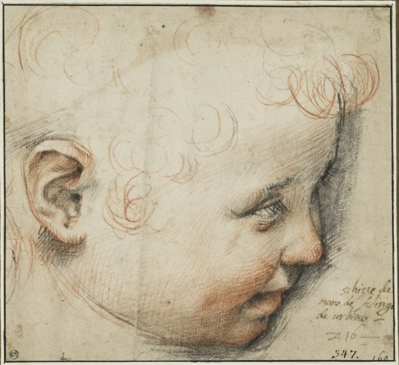 A Child's Head in Profile; Perhaps for the Infant Christ