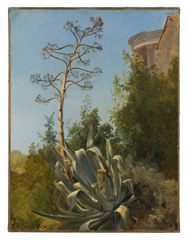 The Vesta Temple in Tivoli with Study of Agave
