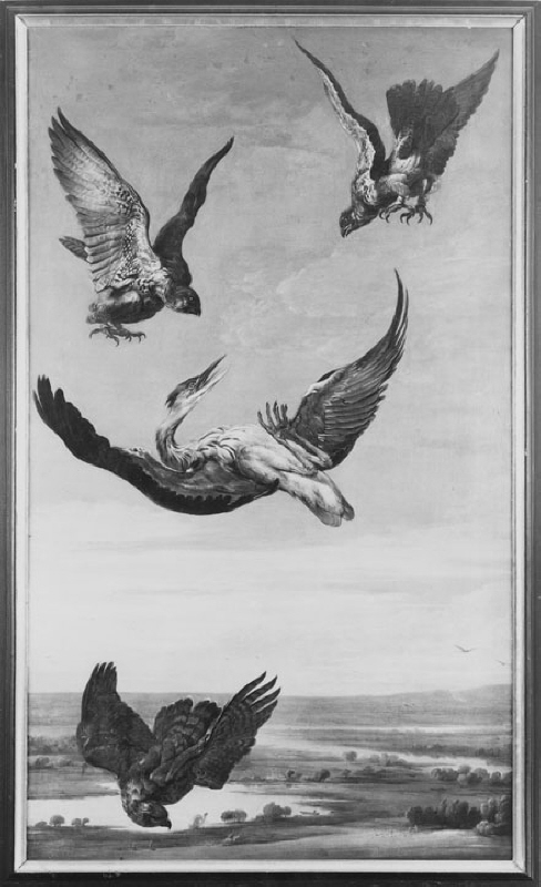 Two Falcons and a Goshawk Attacking a Heron