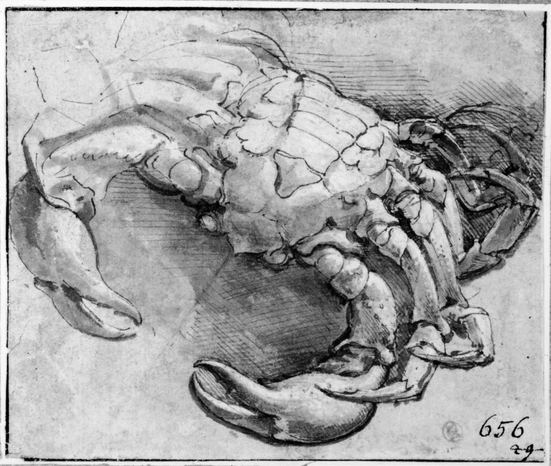 A Crab for S. Maria della Steccata, Parma