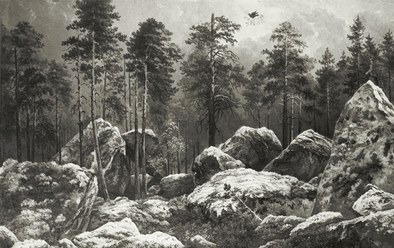Study of a Forest at Hogdal