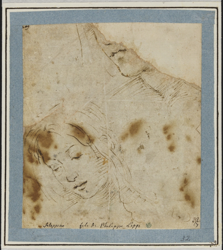 Head of a young woman. Top right, fragment of a second face