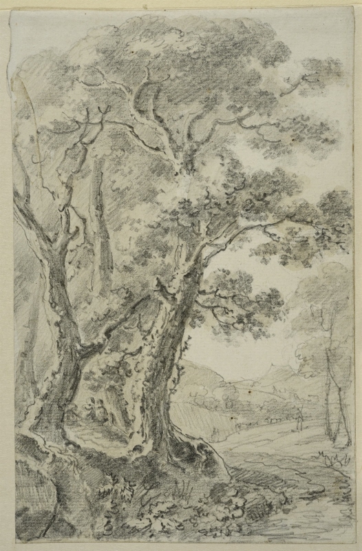 Landscape with Tall Trees in the Foreground