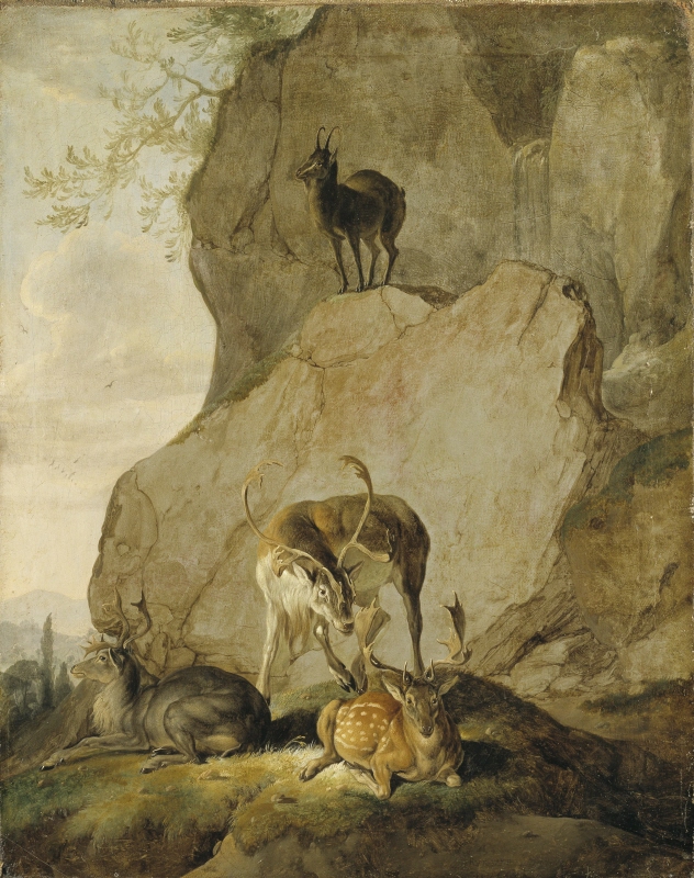 Stags in a Rocky Landscape