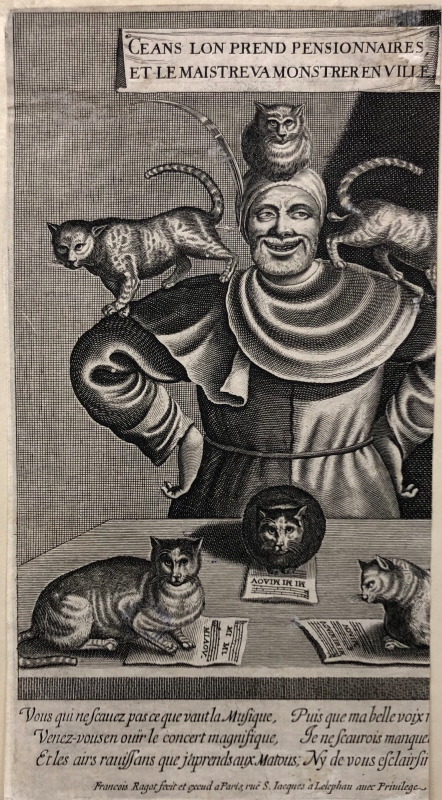 Mannen med kattorna