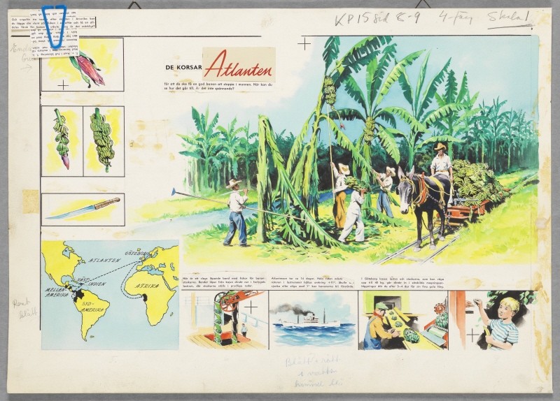 “They Cross the Atlantic”, banana trade, Kamratposten, no. 15, 1958